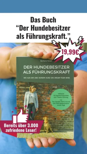 Buch Affiliate Story 12 576x1024 1